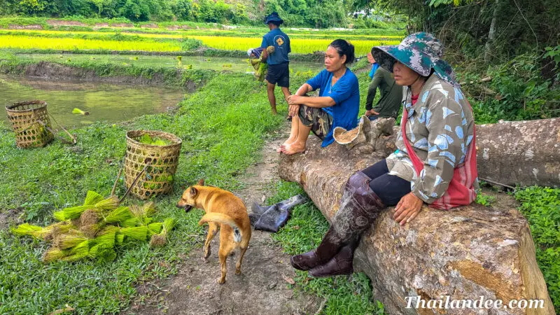 The Best Thailand Itinerary for July and August