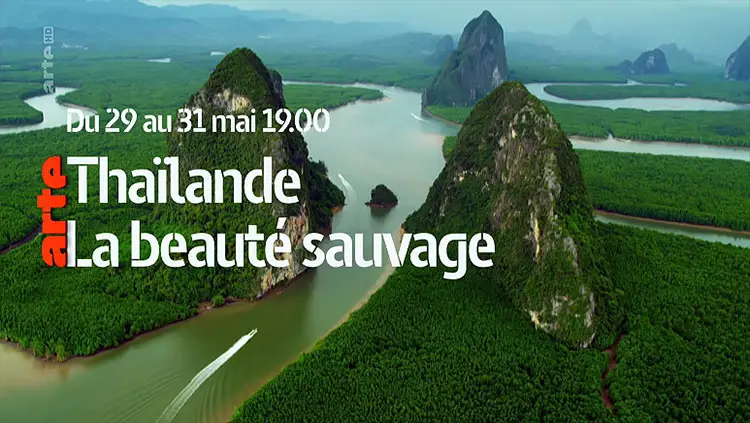 thailande sauvage