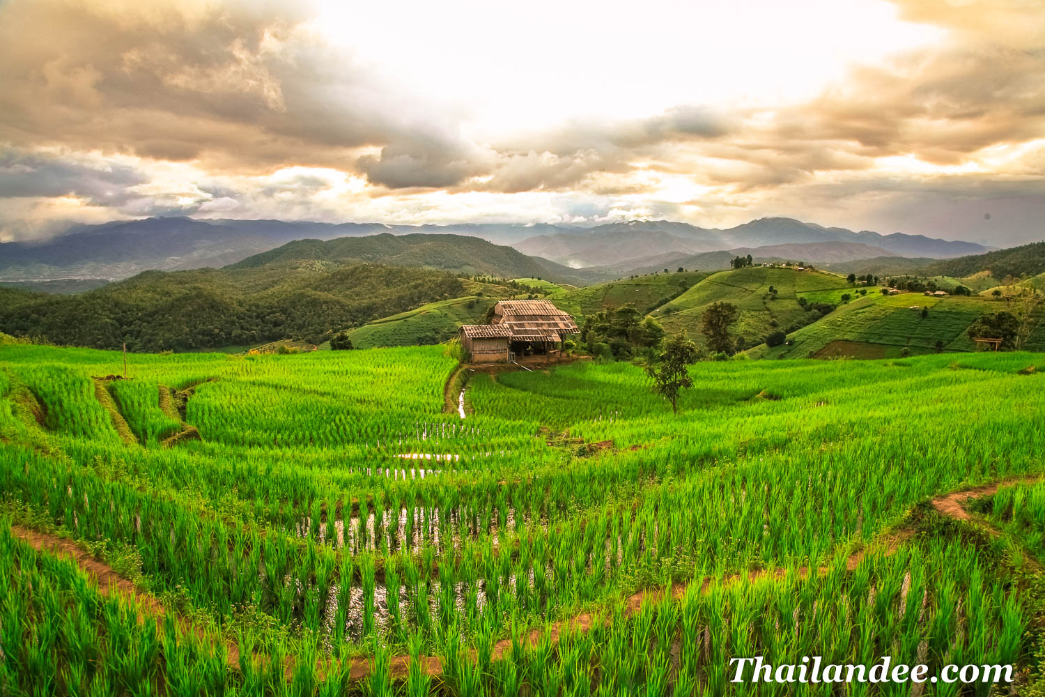 Voyager à Chiang Mai pendant la saison verte
