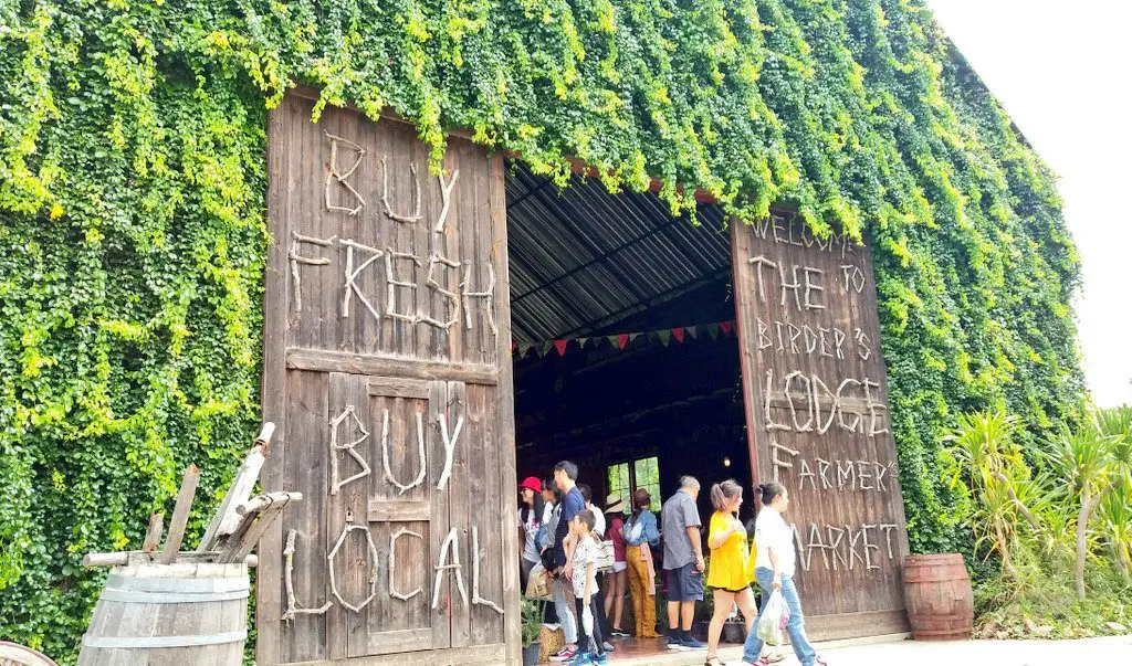 organic market khao yai