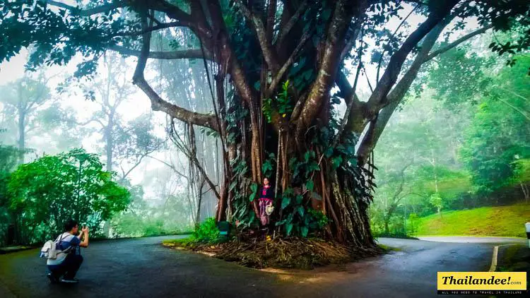 chiang-mai-bhubing-palace-