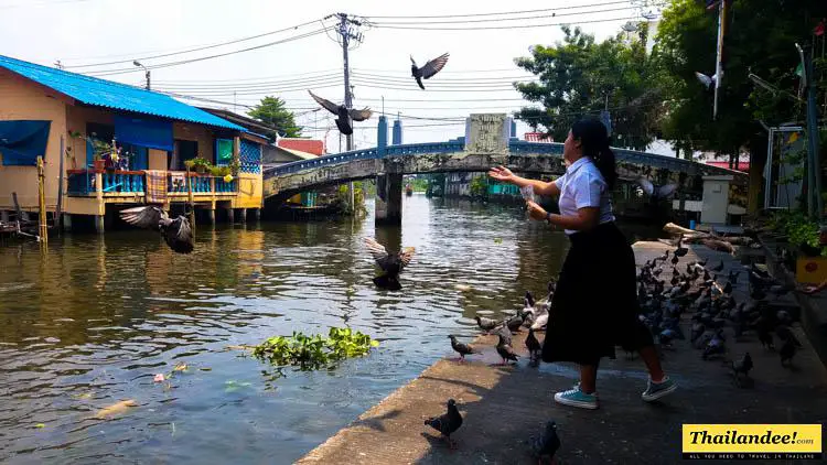 klongs bangkok