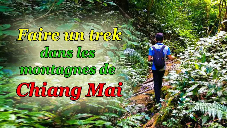 faire un trek à chiang mai