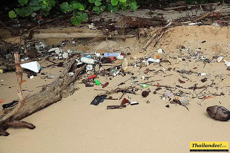 C'est comme ça sur tout le haut de la plage (pas là ou se trouve les resorts mais dés qu'il n'y en a plusà