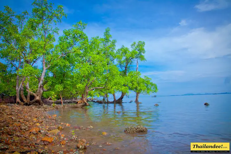 koh sukorn trang