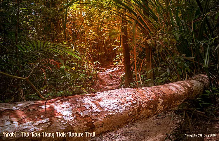 krabi nature trail