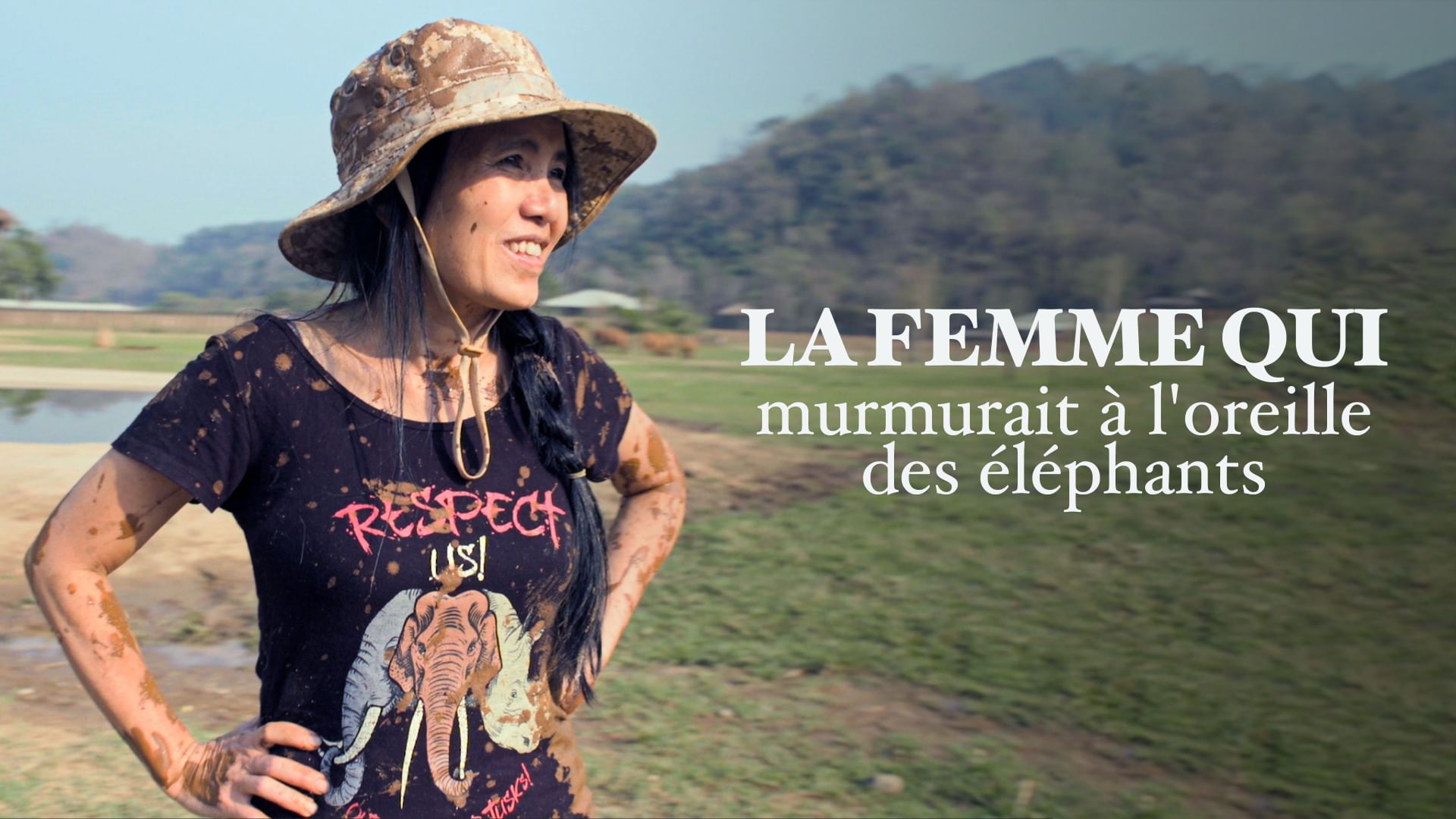 lek chailert, la femme qui murmurait à l'oreille des éléphants de thaïlande