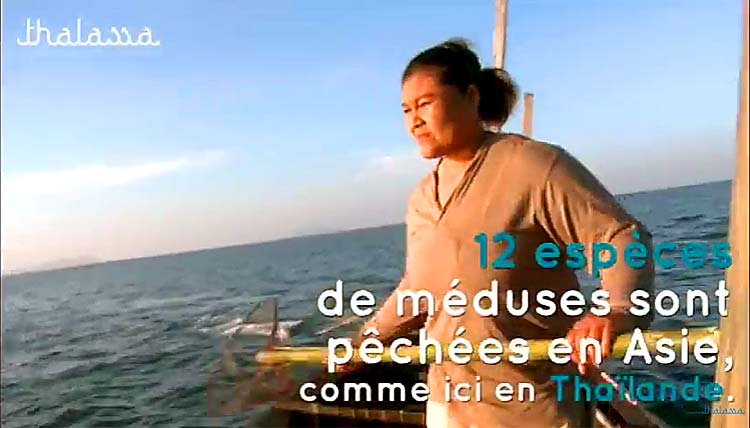 medsues thailande