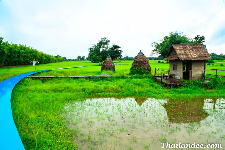 phua kariang farm nakhon nayok