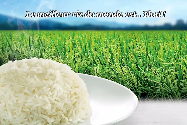 Le meilleur riz du monde est thaïlandais !