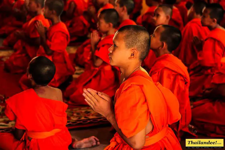 wat-palad-novie-monks