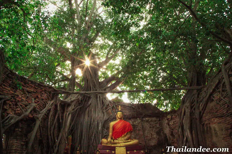wat sai singburi thailande