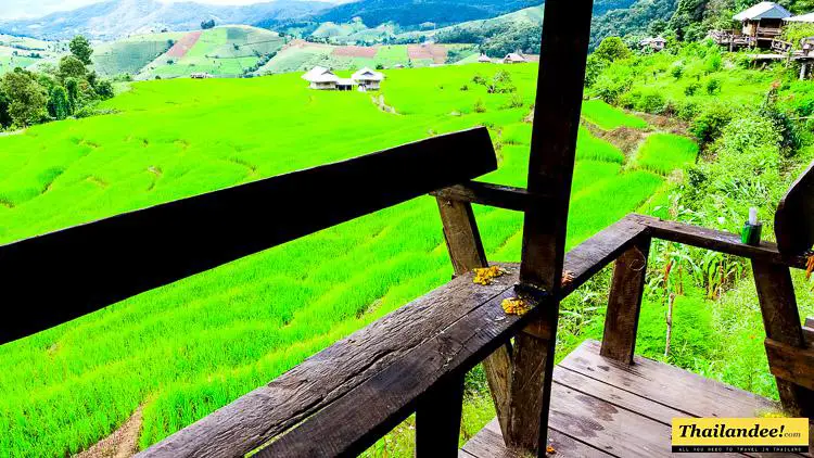 ban nong nam phu