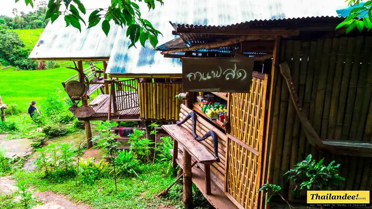pabong piang homestay