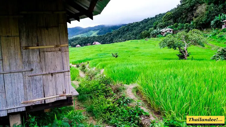 somjai homestay