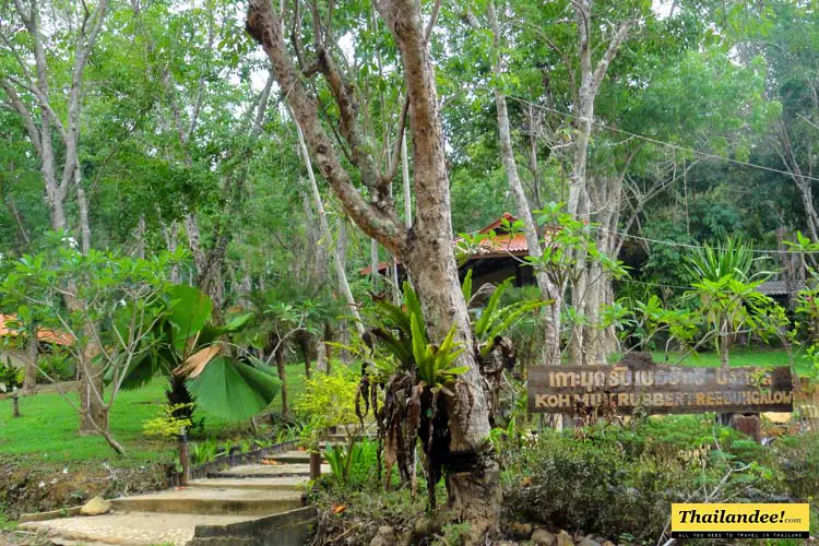 koh mook rubber tree bungalows