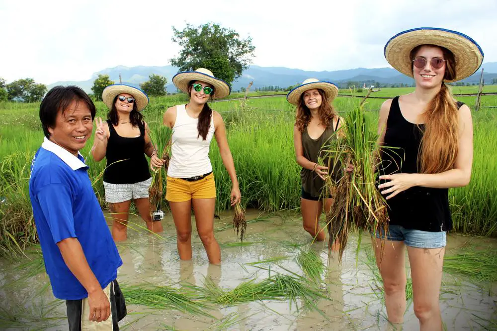 vivez 1 journée à la campagne à chiang mai en français 