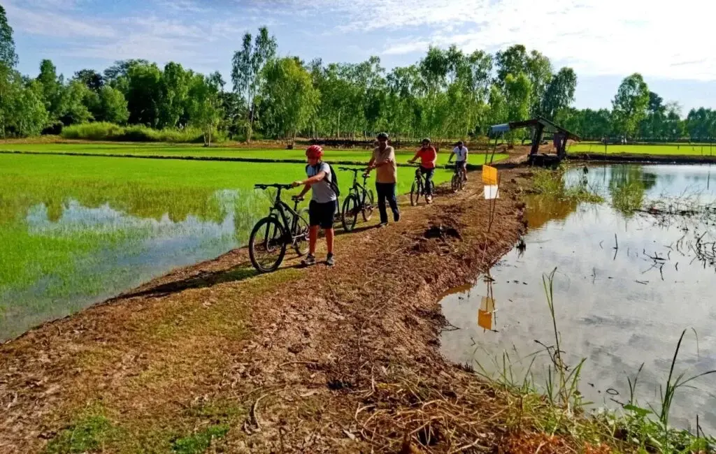 sukhothai half day countryside tour