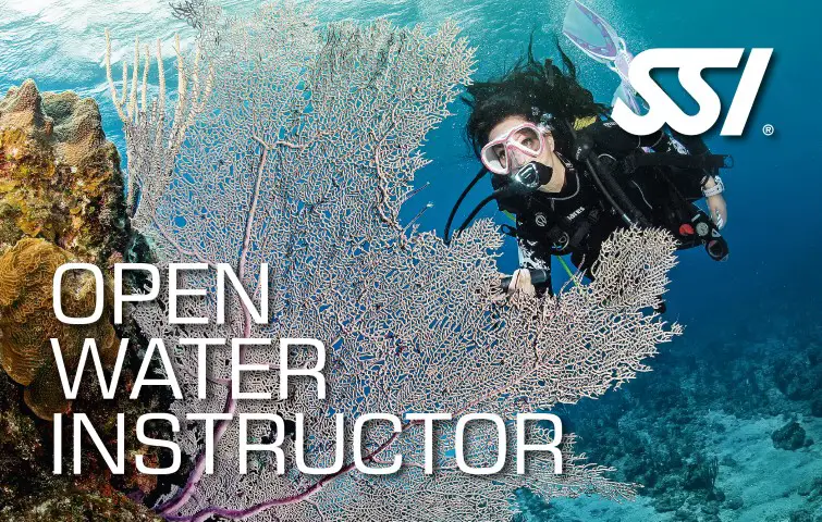 become an open water instructor (ssi)