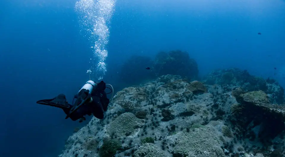 dive at koh tao's 4s (south west pinnacle, samran pinnacle, sail rock & shark island)