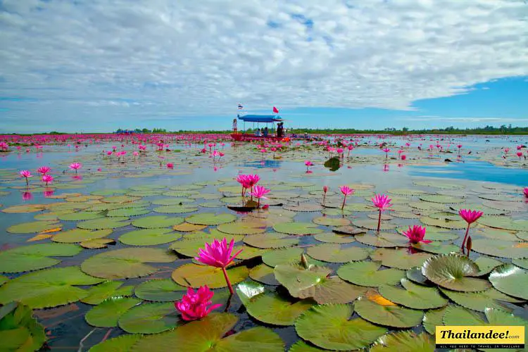 visitez udon thani avec un chauffeur et guide francophone