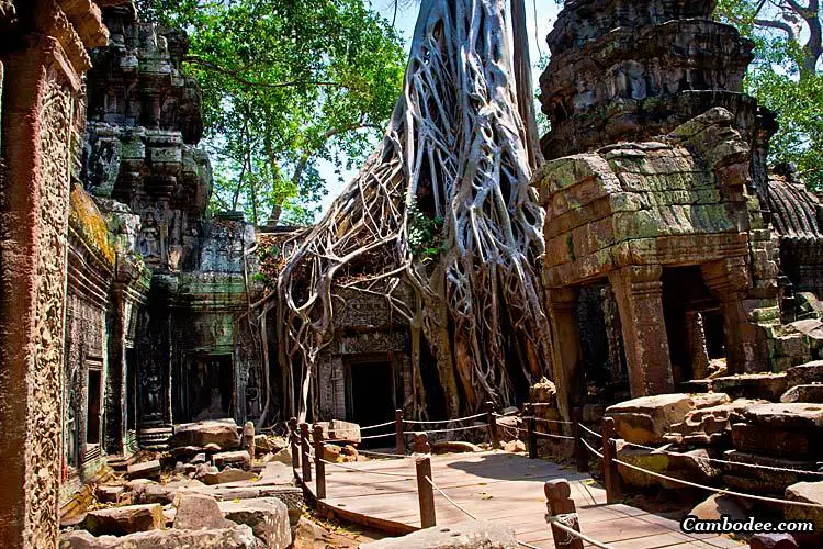 Siem Reap et les temples d’Angkor