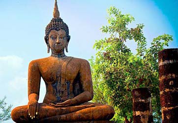 Lung heng farmstay hotel thailand