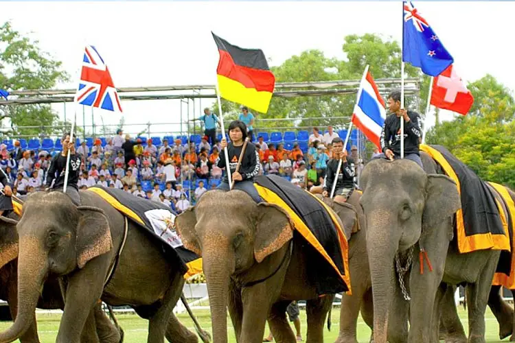 the king's cup elephant polo tournament