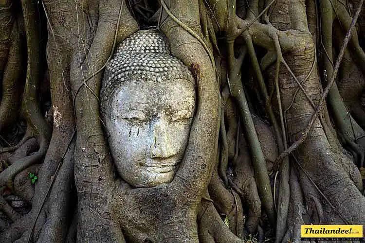 Wat Mahathat Ayutthaya 