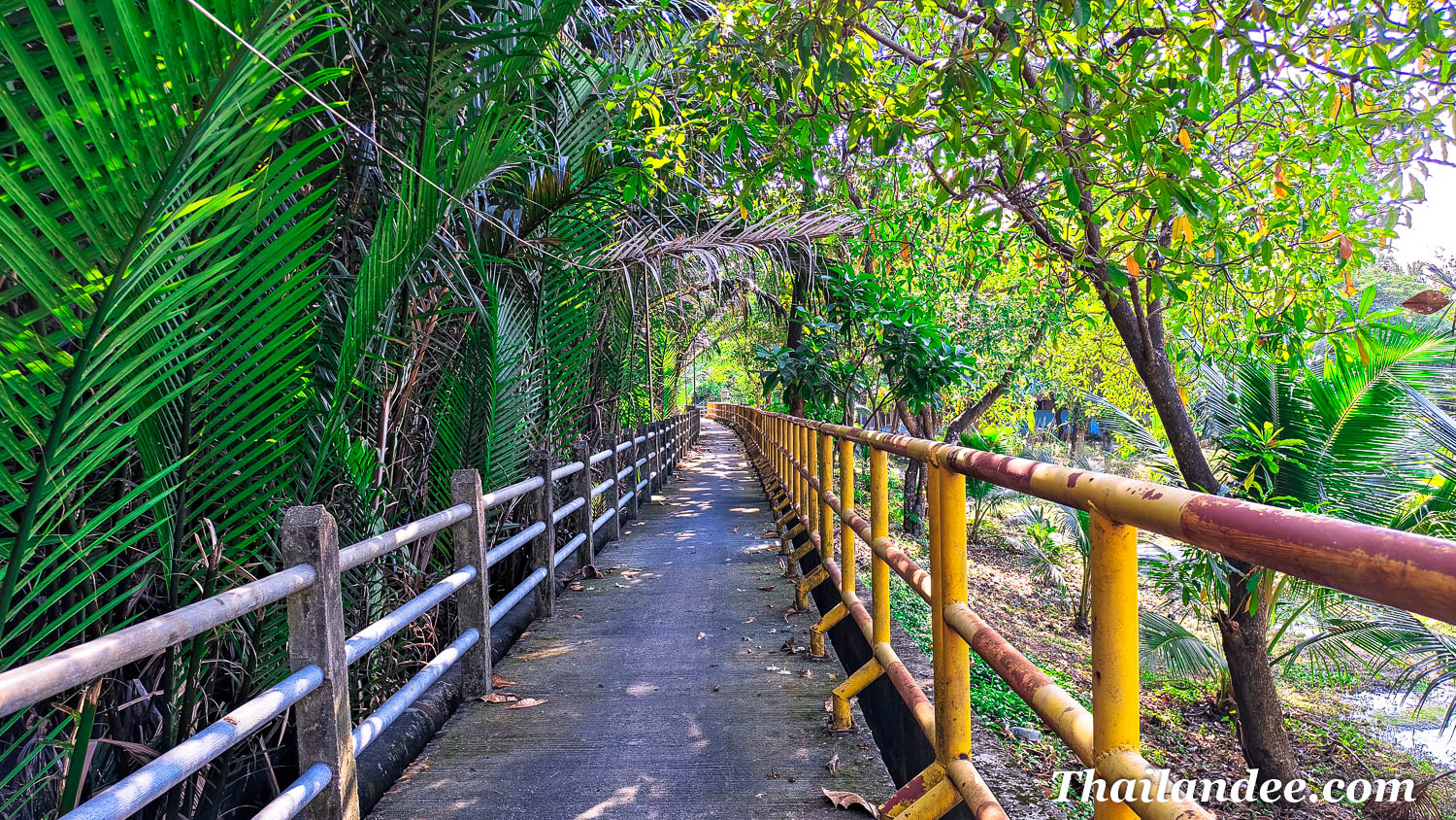 bicycle tour in bang krachao with a local  guide