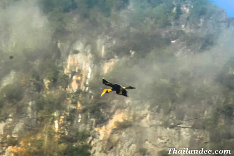 khao sok lake half day with sunset - family special offer