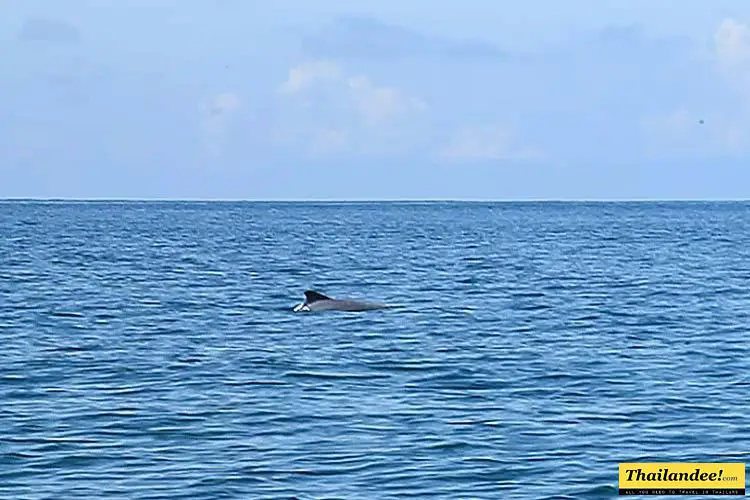 Koh Libong