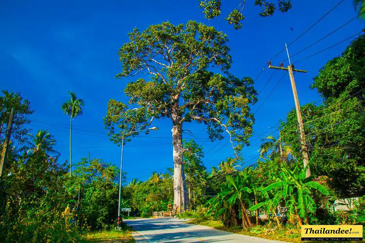 Koh Phangan