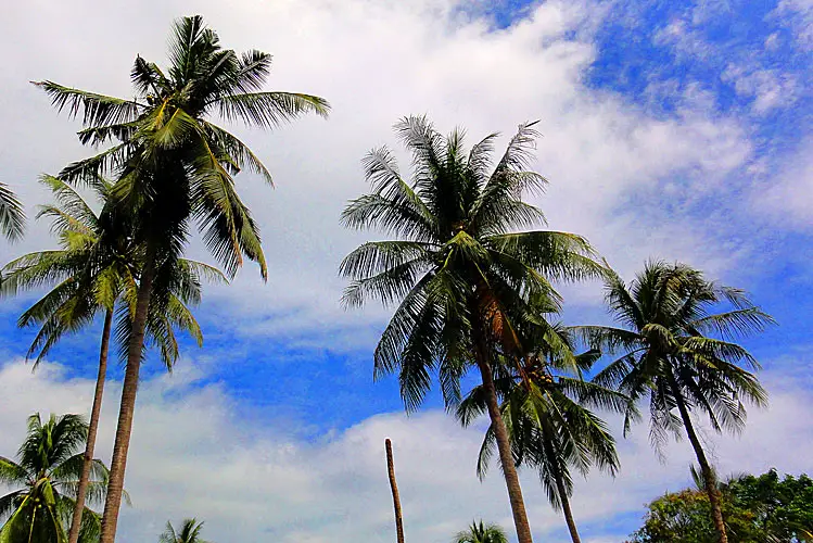 Must-see and to visit places in Koh Rayang