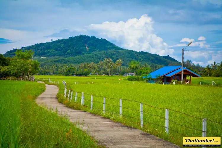 Koh Sukorn