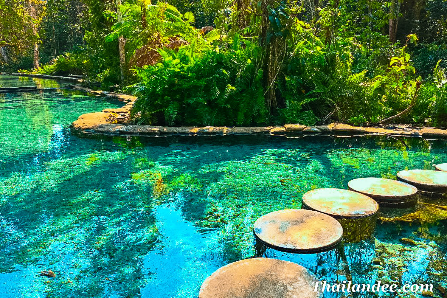 Visit Surat Thani emerald pool (Ban Nam Rad) in Surat Thani