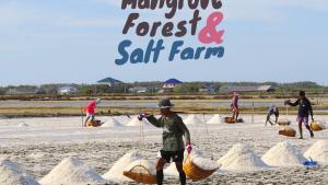 Samut Sakhon au départ de Bangkok : mangrove, ferme de sel et village de pêcheurs  Bangkok