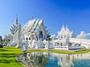 Discover White Temple & Choui Fong Tea Plantation in Chiang Rai Chiang Mai