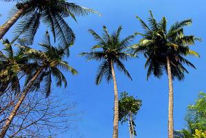hotels Koh Wai