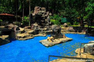 Khao Chaison Hot Springs Phatthalung